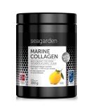 Seagarden Marine Collagen Powder - Wild-Caught Arctic Cod Peptides for Skin, Hair & Health - 300g Lemon Protein Supplement - Buy Online on GoSupps.com