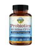 Terranics Probiotics 60 Billion CFU 20 Strains 60 Veg Capsules Prebiotics  Probiotics Shelf Stable Probiotic Supplement for Men  Women Digestive  Immune Health Non-GMO NO Soy Dairy  Gluten - Buy Online on GoSupps.com
