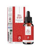 NATURTREU Vitamin B12 Drops 50ml - High Dose 250 g Vegan & Alcohol-Free Methylcobalamin & Adenosyl (4:1) - International Shipping Available - Buy Online on GoSupps.com