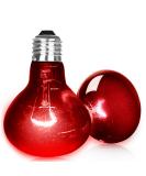 Neptonion 2-Pack 100W Reptile Infrared Heat Lamp - UVA Red Basking Spot Lamp for Snakes Chameleons Geckos & More - Buy Online on GoSupps.com