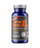 Buy Goldfield Crea Force XL - High Dose Creatine Capsules (60 Tablets) | No Water Retention & Unique Creatine Complex for Optimal Performance - Buy Online on GoSupps.com