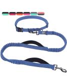 Vivaglory Free-Handed Dog Leash - Double Anti-Shock Bungees & Padded Handles | Reflective Waist Running Leash for Medium & Large Dogs | Adjustable 83-147cm Navy/Black - Buy Online on GoSupps.com