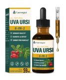 Uva Ursi Natural Diuretic Drops - Herbal Supplement for Urinary Health Kidney Detox & UTI Support | Alcohol-Free Tincture with Dandelion Root & Cranberry - 2oz - Buy Online on GoSupps.com