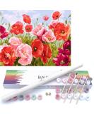 BAISITE Paint by Numbers for Adults Beginners and Kids 16 Wx20 L Canvas Pictures Drawing Paintwork with 4 Pcs Wooden Paintbrushes Acrylic Pigment Poppy Flowers-BSC011 HXL-BSC001-1 - Buy Online on GoSupps.com