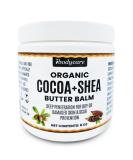 Cocoa Butter Belly & Body Balm - Organic Raw Shea & Coconut Oil | 8 oz Natural Body Butter Blend - Buy Online on GoSupps.com