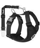 Slowton XS Black Dog Harness & Seat Belt for Car - Breathable Safety Harness for Everyday Sports - Ideal for Puppies - Buy Online on GoSupps.com