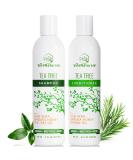 Tea Tree Oil Shampoo & Conditioner Set - Anti-Dandruff Solution for Itchy Scalp - Nourishing Treatment for All Hair Types - Buy Online on GoSupps.com