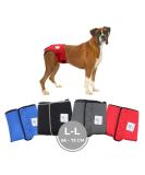 Financial Trousers for Bitches 2.0 - High-Quality Neoprene Dog Diapers for Males | Optimal Airflow | Size L-XL in Red - Buy Online on GoSupps.com