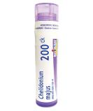 Boiron Chelidonium Majus 200CK - 80 Pellets | Homeopathic Remedy for Indigestion & Nausea | International Shipping Available - Buy Online on GoSupps.com