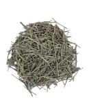 Green Velly Natural Somlata - Soma - Ephedra Vulgaris - Ephedra gerardiana (100 Grams) - Buy Online on GoSupps.com