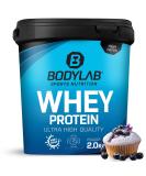 Bodylab24 Whey Protein Powder - Blueberry Muffin Flavor 2kg | Premium Quality Protein for Muscle Growth & Recovery - Buy Online on GoSupps.com