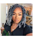 Dorsanee Pre-twisted Passion Twist Hair 10 Inch 8 packs for Women - Gray Synthetic Curly Crochet Extensions - Pre-looped Crochet Braids - Short Passion Twists - 1B/Gray - Buy Online on GoSupps.com
