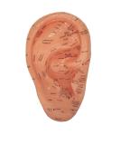Ear Zone Model XC-514A - Height 7 | Premium Quality Ear Protection - Buy Online on GoSupps.com