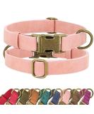 Didog Soft Leather Dog Collar - Durable & Adjustable Pink Collar for Medium & Small Dogs (Neck Size 13-21) | Quick Lock Metal Buckle - Buy Online on GoSupps.com