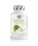 Nutriodol Ginkgo Biloba Extract Tablets with Zinc | 24% Flavone Glycosides 6% Lactones | Cognitive Function Boost | Vegan Friendly (365 Tablets) - Buy Online on GoSupps.com