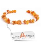 Bold Baltic Amber Chain for Dogs & Cats | Natural Tick Protection | All Sizes - Baltic Secret - Buy Online on GoSupps.com