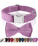 Asvin Velvety Dog Collar with Removable Fly | Soft & Comfortable Multi-Color Dog Collar for Weddings Birthdays & Parties - Shop Now! - Buy Online on GoSupps.com