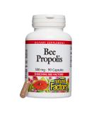 Natural Factors Bee Propolis 500 mg 90 Capsules - Buy Online on GoSupps.com