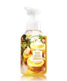 Buy Bath & Body Works Gentle Foaming Hand Soap - Very Merry Meringue | Shop Internationally for Luxurious Hand Care - Buy Online on GoSupps.com