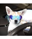 Namsan Dog Glasses for Small Breeds | UV Protection Windproof & Adjustable | Ideal for Snow Festivals - Buy Online on GoSupps.com