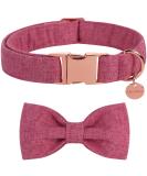 Dogwong Green Dog Collar with Removable Fly | Adjustable Comfort for Small to X-Large Dogs | Perfect Gift for Girls - Buy Online on GoSupps.com