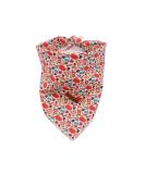 Unique Paws Adjustable Cotton Dog Towel | Washable Latz for Small & Medium Dogs & Cats - Pumpkin Style - Buy Online on GoSupps.com