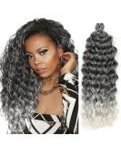 Ocean Wave Crochet Wavy Hair 18 Inch 5 Packs Hawaii Curly Braiding for Goddess Locs Crochet - Tgrey - Buy Online on GoSupps.com