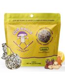 ODD BALLS Organic Energy Balls - Lemon Superfood Snack | Vegan Gluten Free | Perfect for Running Cycling & Hiking | Focus & Energy with Lion's Mane & Cordyceps - Buy Online on GoSupps.com