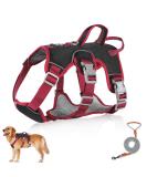 Multi-Purpose Dog Harness & Leash Set - Outbreak-Proof Anti-Train Safety Harness for Small & Medium Dogs (Black M) - Buy Online on GoSupps.com