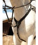 Rhinegold V-Check Cob Havana - Premium Quality Equestrian Gear | International Shipping Available - Buy Online on GoSupps.com