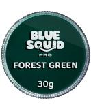 Blue Squid PRO Face Paint - Classic Forest Green (30gm) Professional Water Based Single Cake Face & Body Paint Makeup Supplies for Adults Kids Halloween Facepaint SFX Water Activated Face Painting Classic Forrest Green - Buy Online on GoSupps.com
