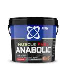 USN Muscle Fuel Anabolic Chocolate Protein Powder Shake 4kg - Muscle Gain Formula - Buy Online on GoSupps.com