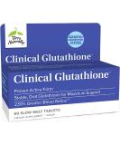 Terry Naturally Clinical Glutathione 60 Slow Melt Tablets | Powerful Antioxidant Support - Buy Online on GoSupps.com