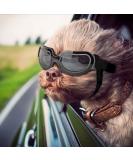 NAMSAN Small Dog Goggles UV Protection Adjustable Clear Sungalsses for Dogs - Windproof and Easy to Wear Puppy Glasses in Clear Black - Buy Online on GoSupps.com