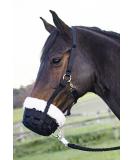 Buy Busse Fressbremse Comfy - Premium Horse Bit for International Shipping - Buy Online on GoSupps.com