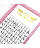Finished compartments 8D-D0.07-Mix short stem eyelash extension finished eyelash compartments Volume eyelashes 0.07 D Curl (8D-D 07.8-14 mm) 8-14 mm 8D-D-07-8-14Mix - Buy Online on GoSupps.com
