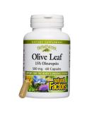 Natural Factors Olive Leaf Extract 500mg - 60 Capsules | Immune Support & Antioxidant - Buy Online on GoSupps.com