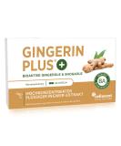 Ginger capsules - organic ginger extract - liquid - gingerol & shogaol high dose - pharmaceutical quality - 60 pieces - Buy Online on GoSupps.com
