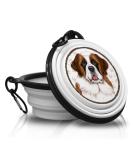 St. Bernard Foldable Portable Dog Bowl with Carabiner - Ideal On-the-Go Pet Feeding Solution - Buy Online on GoSupps.com