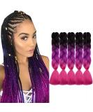 Buy Tess Braids Extensions 60cm - 5 Pack Jumbo Kanekalon Ombre Hair Braids (Black/Purple/Pink) | High-Quality 100g Box Braids for Stunning Styles - Buy Online on GoSupps.com