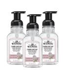 J.R. Watkins Foaming Hand Soap with Pump Dispenser Moisturizing Foam Hand Wash All Natural Alcohol-Free Cruelty-Free USA Made Rosewater 9 fl oz 3 Pack - Buy Online on GoSupps.com