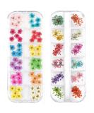 Mini 3D Nail Dried Flower Sticker Kit - Real Natural Five Petal Flower and Leaf Gypsophila Dry Flowers for Nail Art Resin Craft DIY - 2 Boxes, 5.12 x 1.97 inches - Buy Online on GoSupps.com