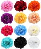 Amuhou Womens Rose Flower Hair Clip & Brooch Set - Bridal Headpiece & Flamenco Dancer Accessory (Peony 12 Pcs) - Buy Online on GoSupps.com