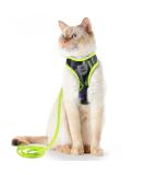 Supet Cat Dishes & Line Set - Perfect Feeding Solution for Kittens | International Shipping Available - Buy Online on GoSupps.com