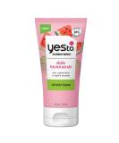 Yes To Watermelon Daily Facial Scrub, Invigorating and Exfoliating Cleanser That Melts Away Make Up, Lightly Hydrates With Antioxidants and Vitamin C, Natural, Vegan & Cruelty Free, 4 Oz All Skin Types - Buy Online on GoSupps.com