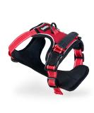 Adjustable Lionto Dog Harness - Padded Anti-Pull Reflective Safety Size S Red | International Shipping - Buy Online on GoSupps.com