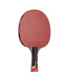STIGA Pro Carbon Performance-Level Table Tennis Racket with Carbon Technology for Tournament Play - Buy Online on GoSupps.com