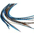 Blue Auburn Real Feather Hair Extensions - Pack of 10 Feathers - Buy Online on GoSupps.com