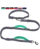 Buy Vivaglory Free-Handed Dog Leash | Padded Handles | Anti-Shock Bungee | Reflective Waist Running Leash for Medium & Large Dogs - Gray/Turquoise - Buy Online on GoSupps.com