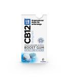 CB12 Boost chewing gum Strong Mint - immediate freshness prevents bad breath sugar -free fresh mint taste - 10 pieces of Strong Mint 10 pieces (1 Pack) - Buy Online on GoSupps.com